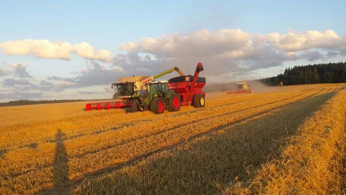 Landwirtschaft