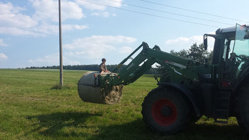 Landwirtschaft - 2/14