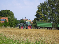 Landwirtschaft