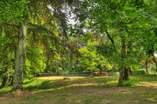 Park
